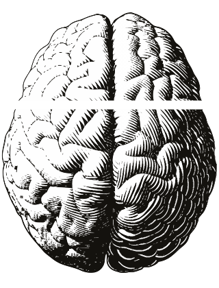 Natural Pharmaceuticals OmegaMarine™ Premium Fekete-fehér metszetrajz az emberi agy felső nézetéről, kiemelve az agytekervényeket és féltekéket.